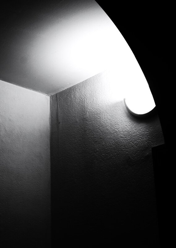 * - Василий Палий