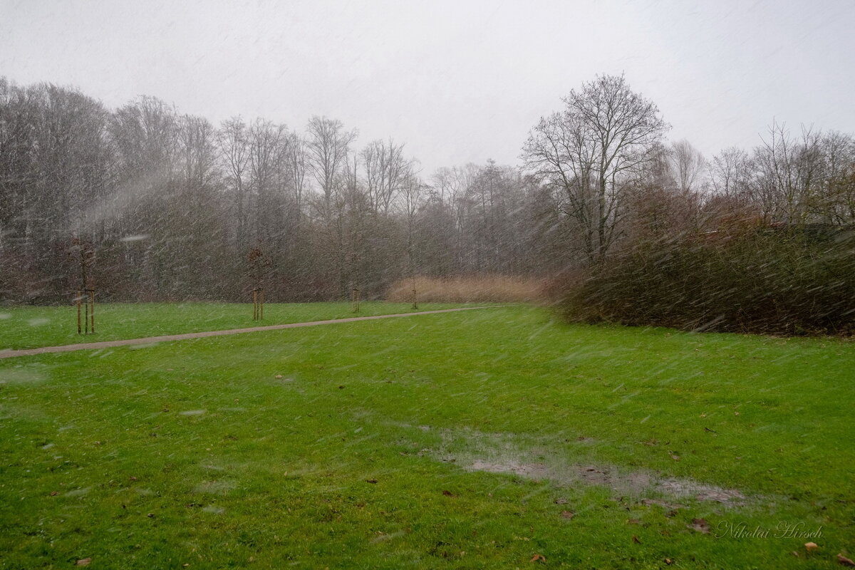 Шёл снег... - Николай Гирш