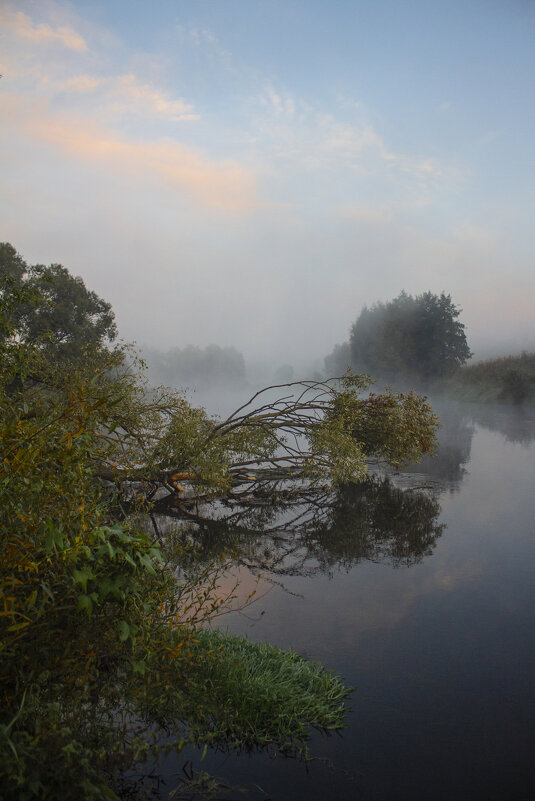 Утро. - Александр 