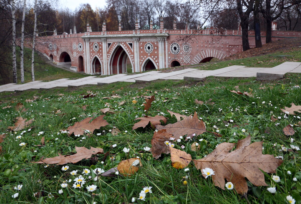 Царицыно 10 ноября - Михаил Бибичков