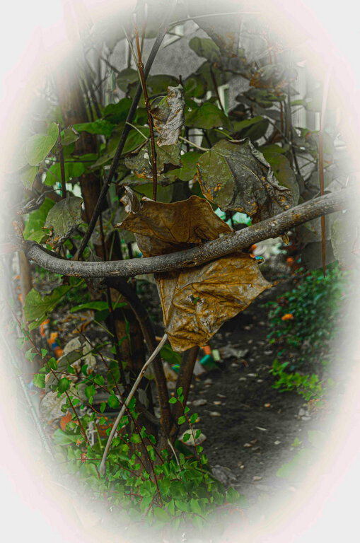 Последний шанс - Петр Фролов