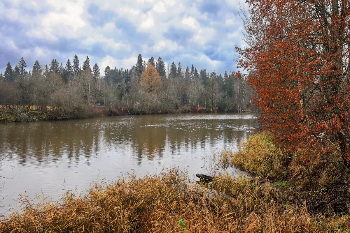 Вартемяжское озеро - skijumper Иванов Вартемяжское озеро - skijumper Иванов