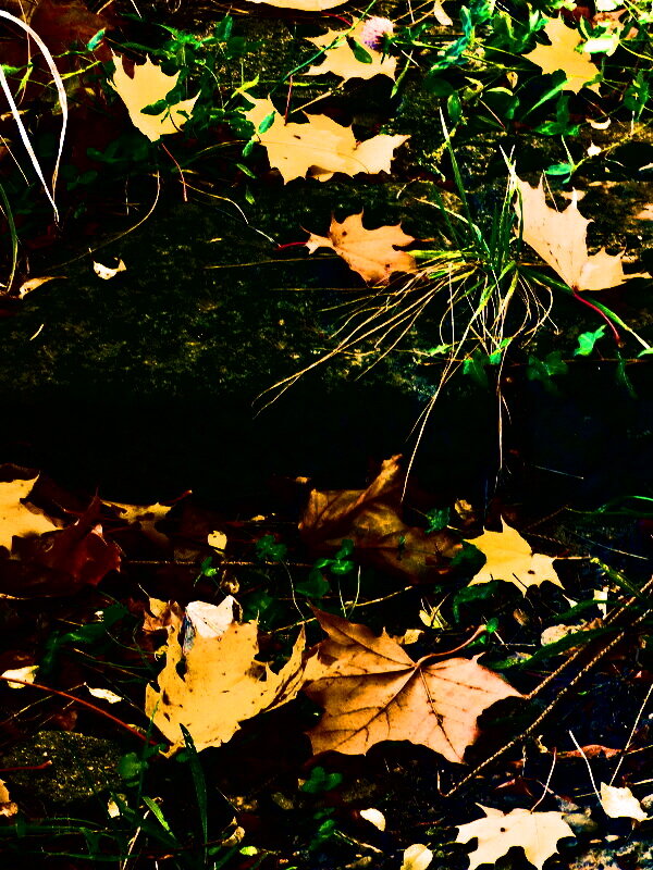 Осень 47 - Алексей Кузнецов