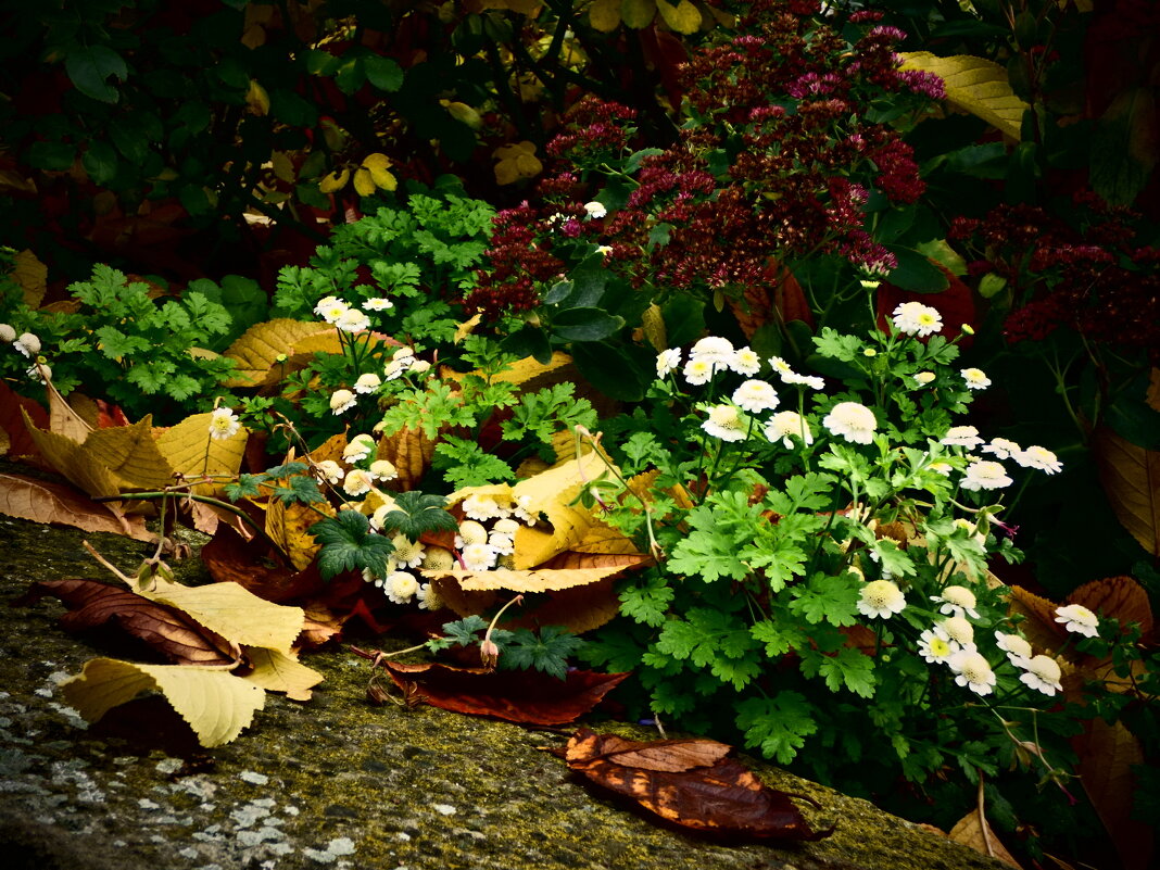 Осень 50 - Алексей Кузнецов