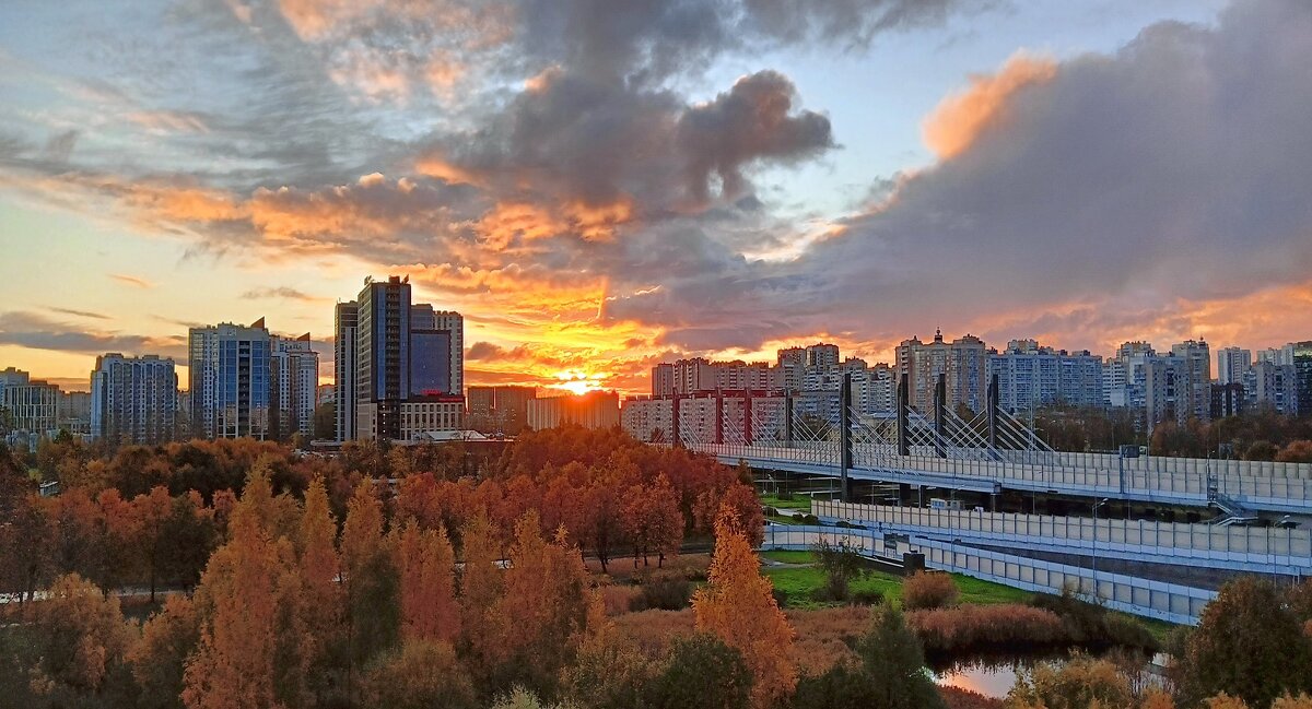 Вид из окна. Октябрь. - dli1953 