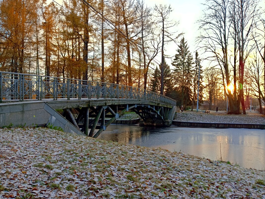 Ноябрьский вечер в ЦПКиО им. С.М. Кирова - dli1953 Ноябрьский вечер в ЦПКиО им. С.М. Кирова - dli1953