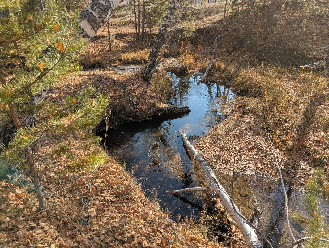 Бежит реченька... - Андрей Хлопонин