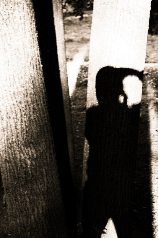 Фотография - Денис Безногов