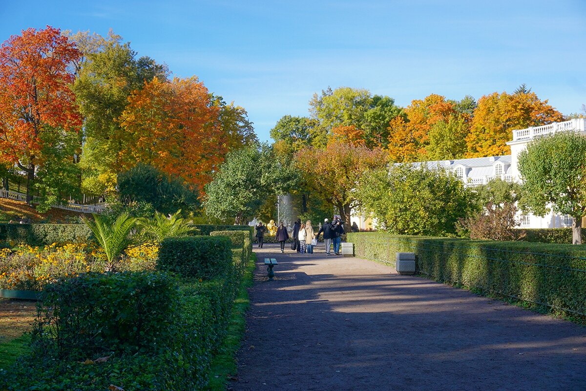 Осень в парке - Ольга 