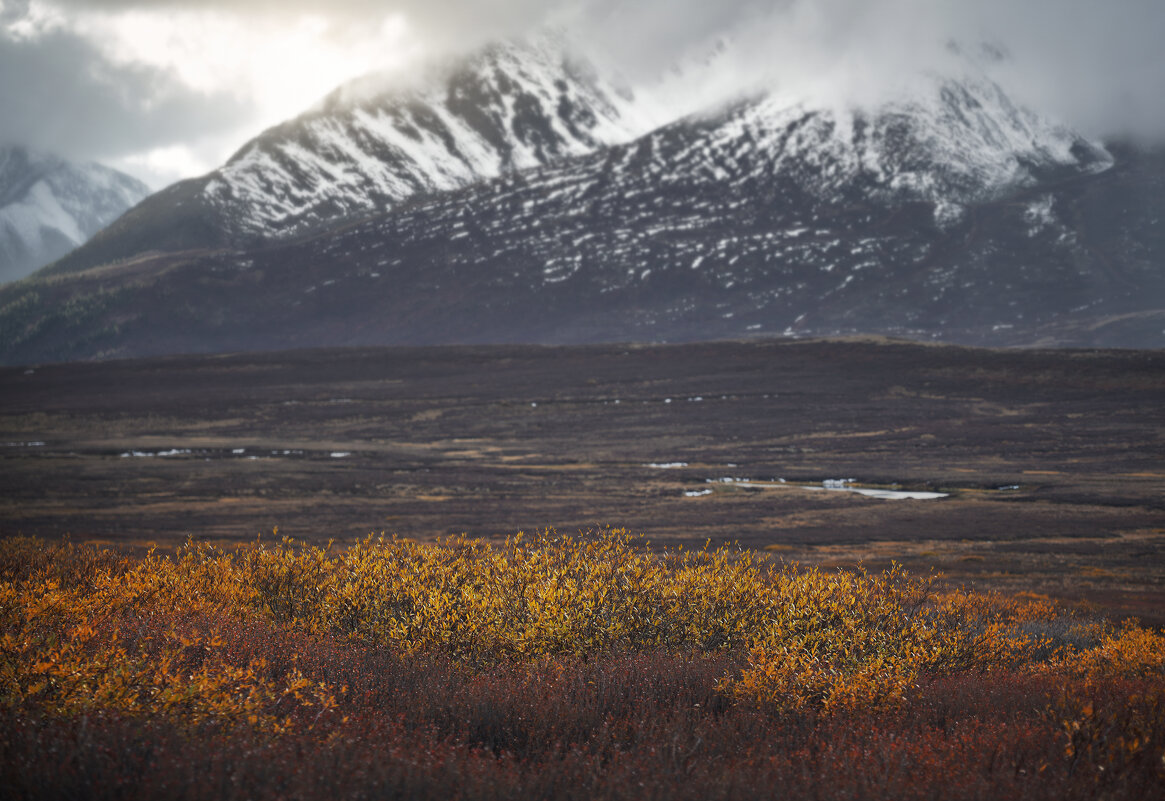 * - Александр Иванов