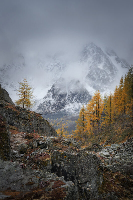 * - Александр Иванов