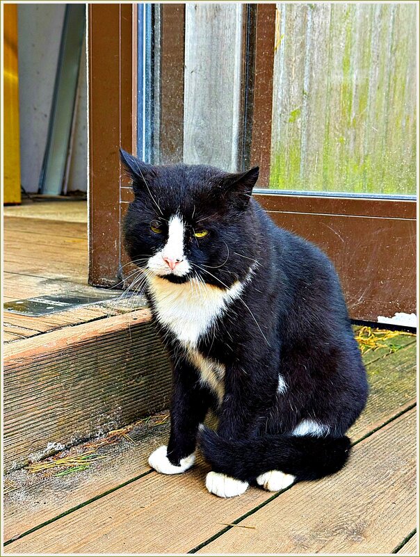 Житель Куршской косы. - Валерия Комова