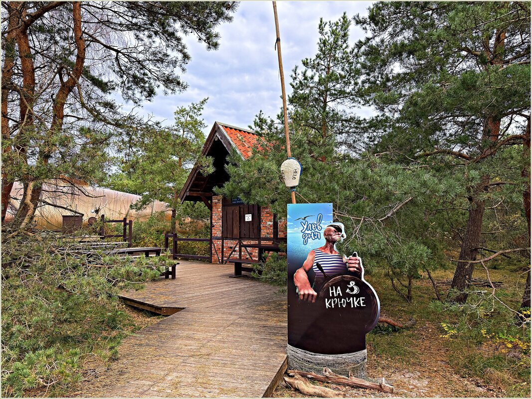 Прогулка по Куршской косе. Приглашение в кафе. - Валерия Комова Прогулка по Куршской косе. Приглашение в кафе. - Валерия Комова