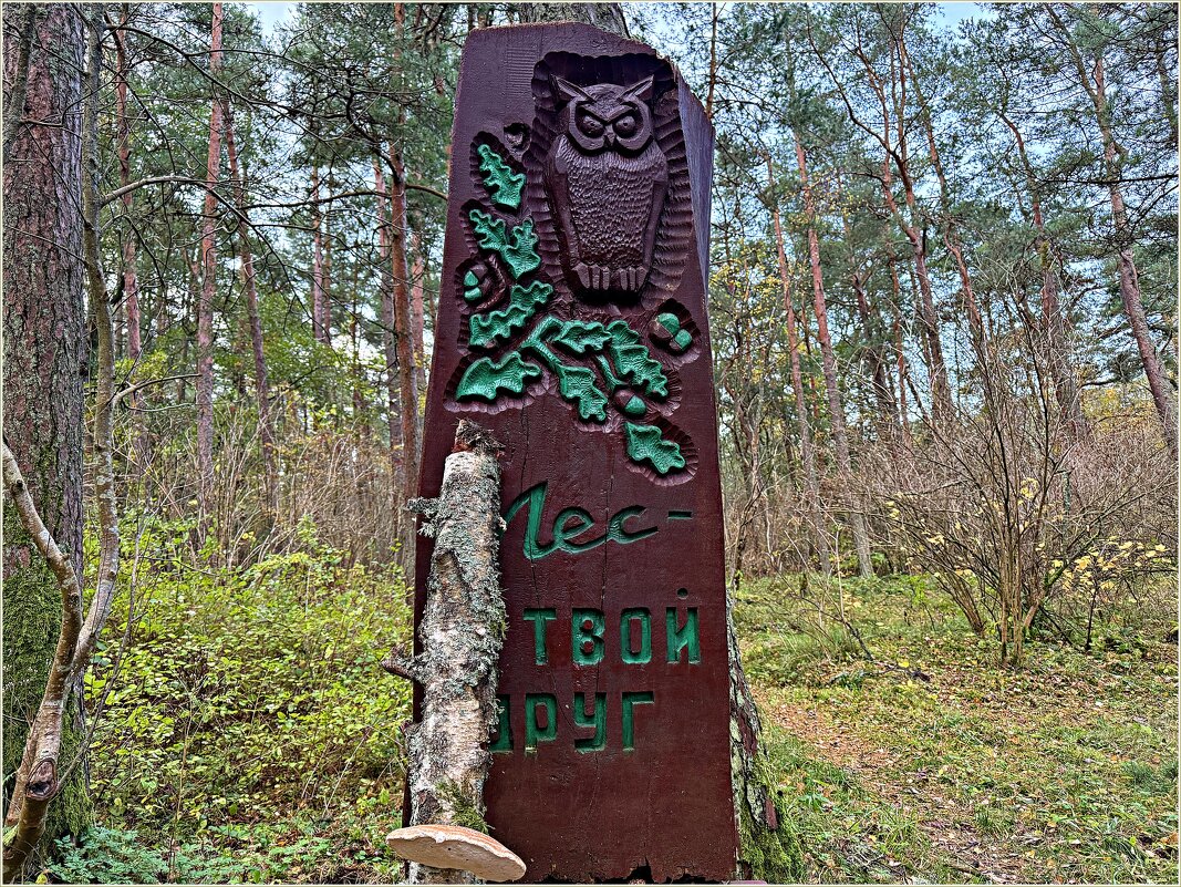 Прогулка по Куршской косе. - Валерия Комова