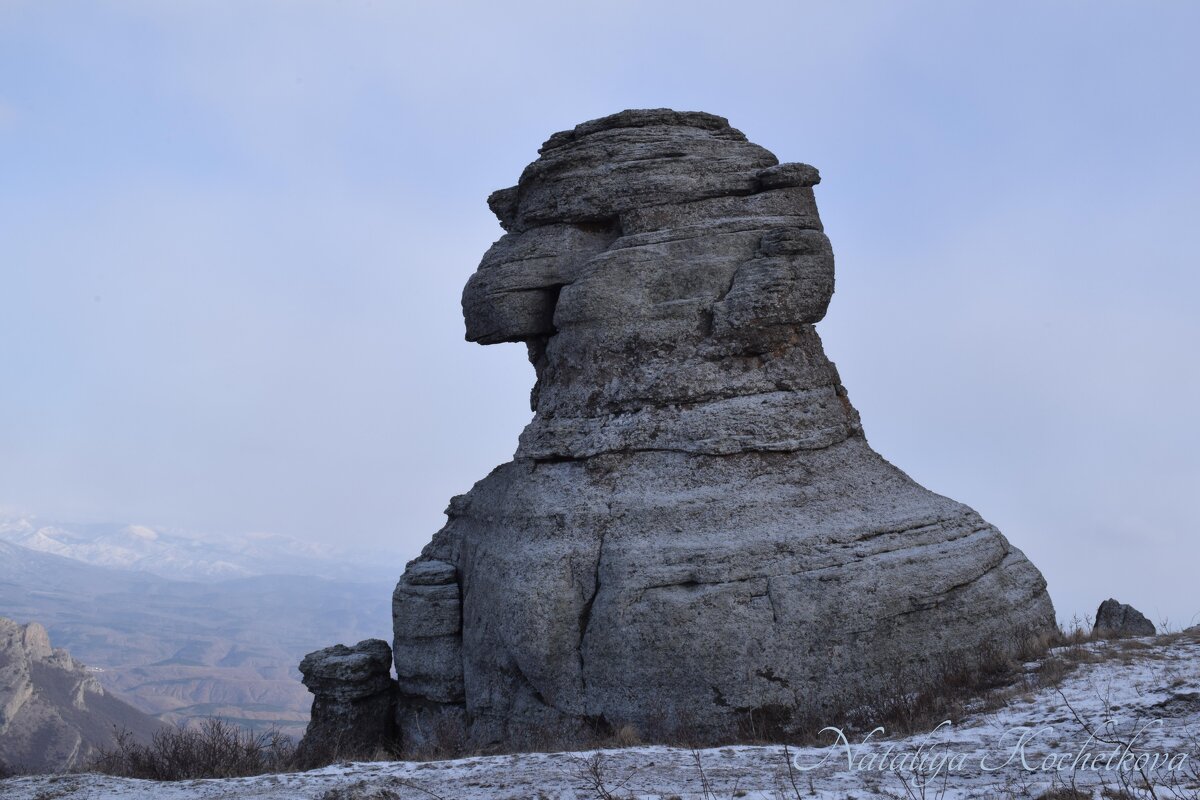 Природа Крыма - Amazing Cosmea