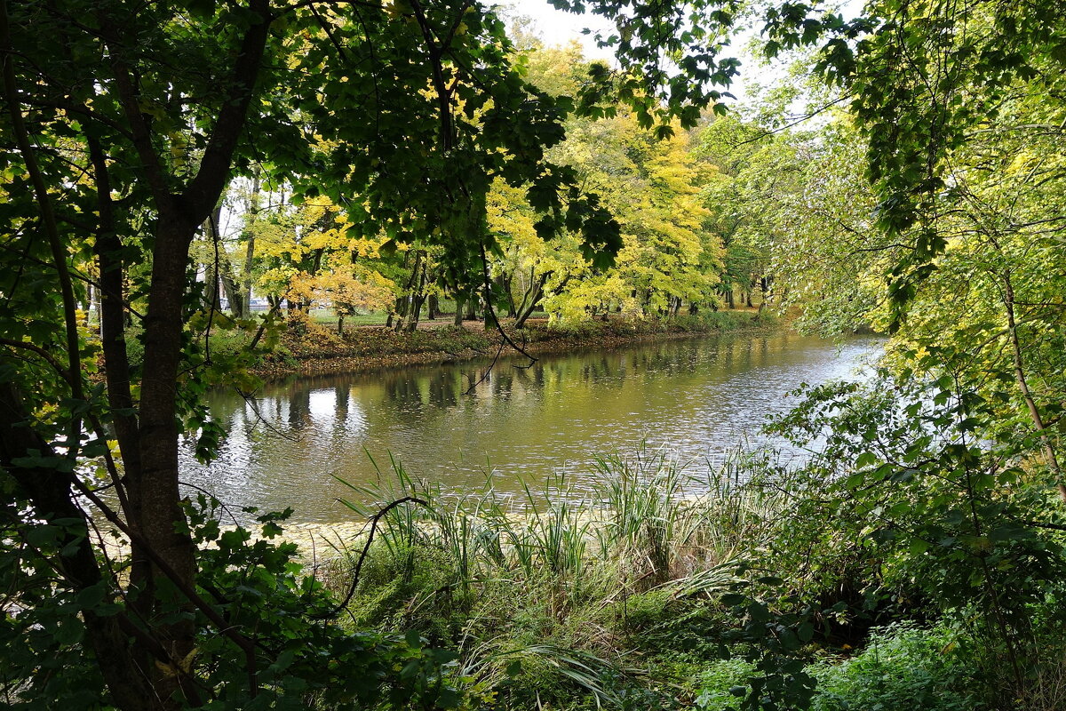 Картинки осени - Рита Симонова Картинки осени - Рита Симонова