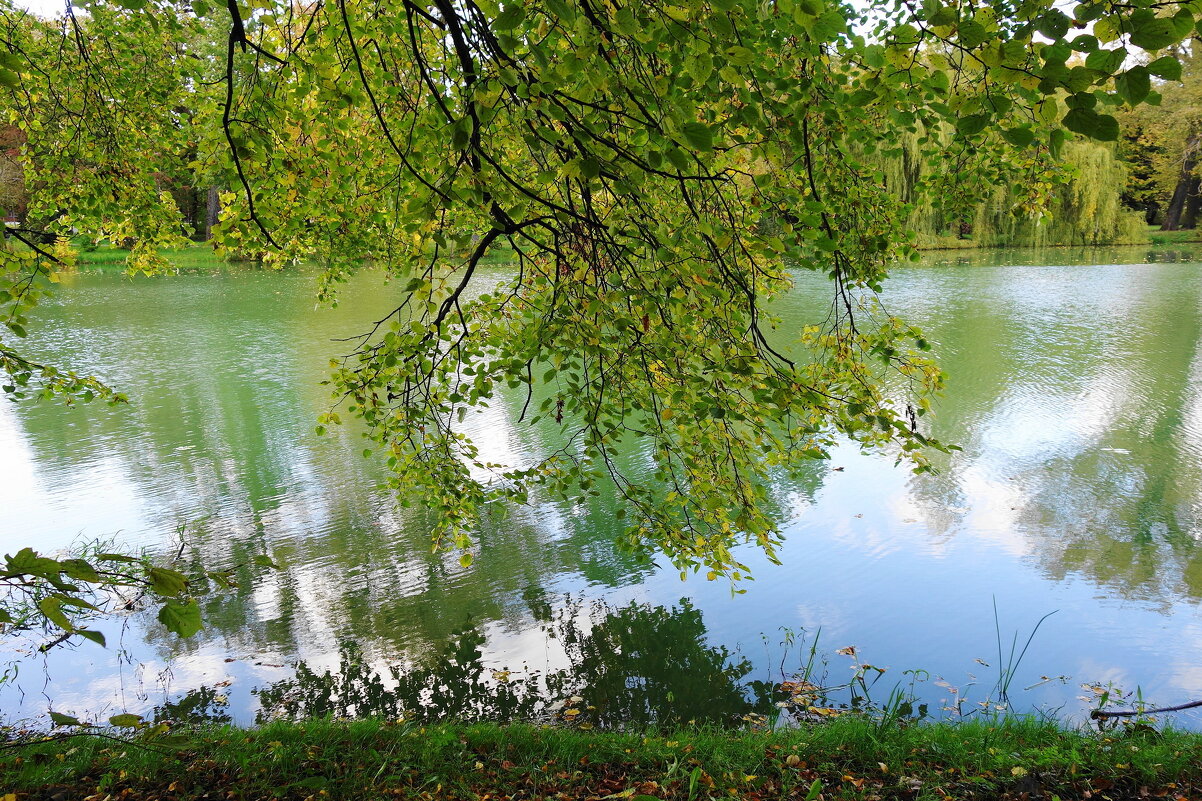 Картинки осени - Рита Симонова