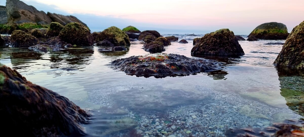 рассвет - Ольга Косачова