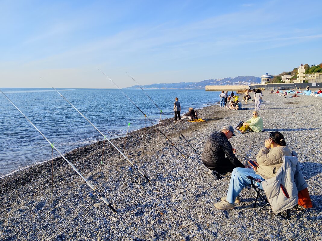 РИВЬЕРА - Tata Wolf