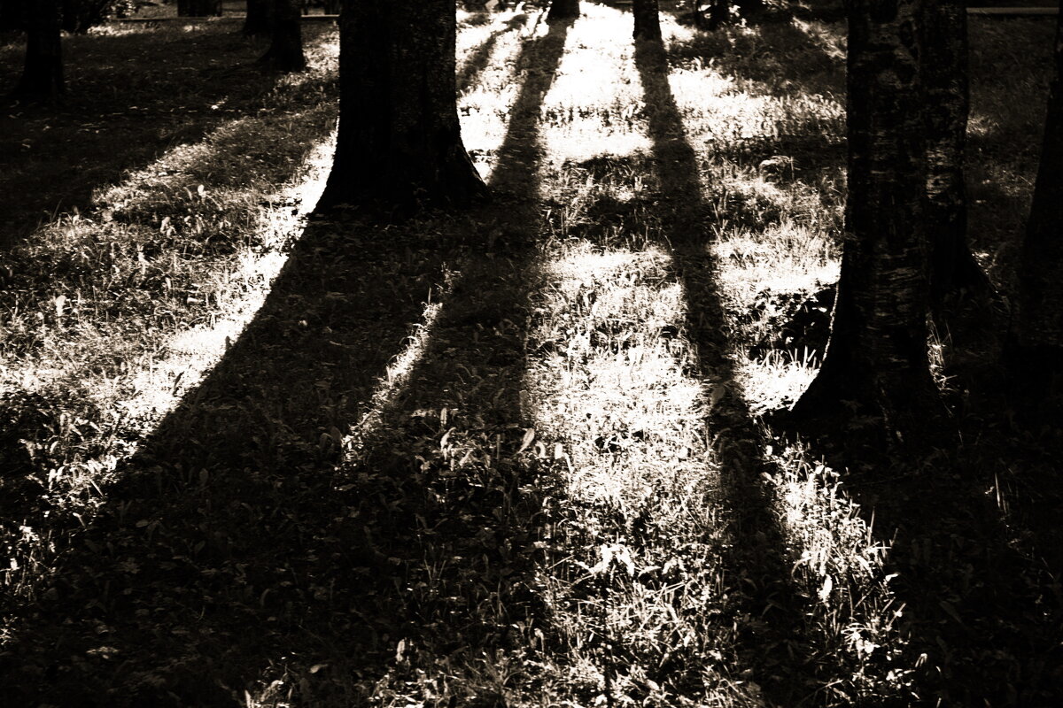 Фотография - Денис Безногов