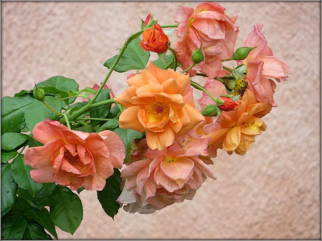 Осеннее... - Татьяна Львова