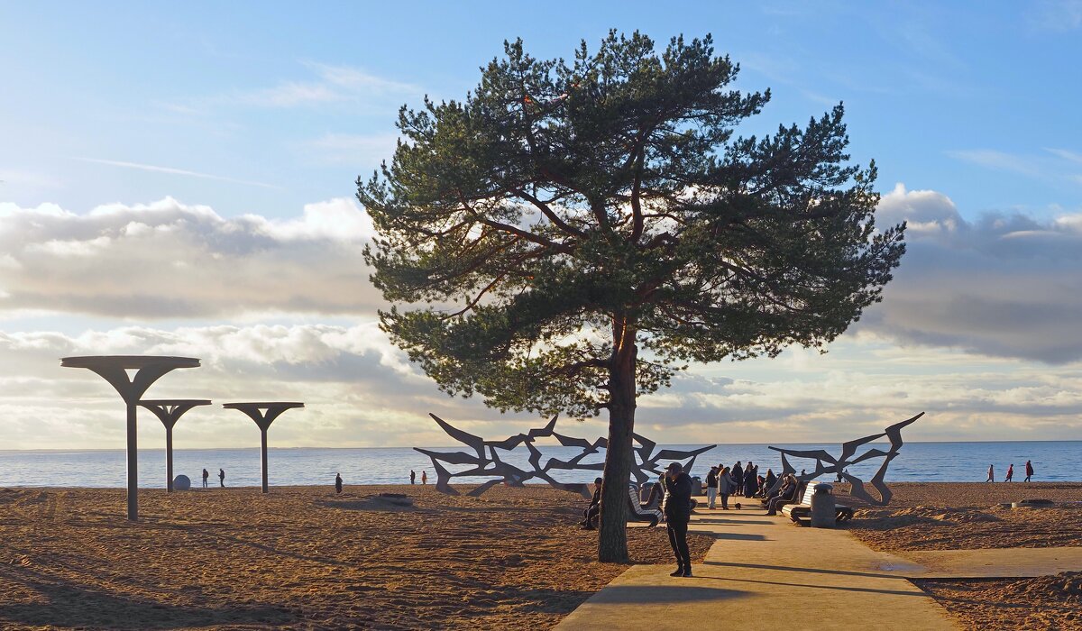 Ласковый пляж - Магомед .