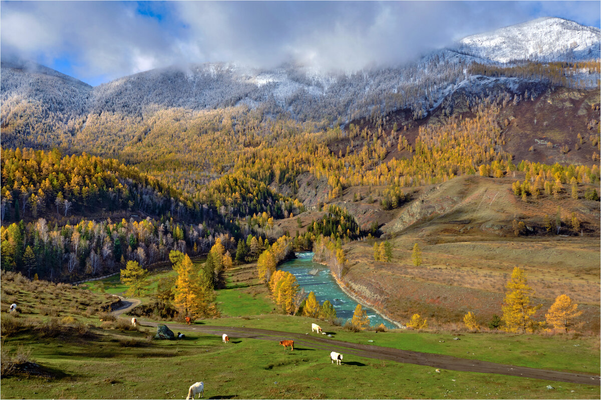 Просторы горного Алтая... - Алексей Мезенцев