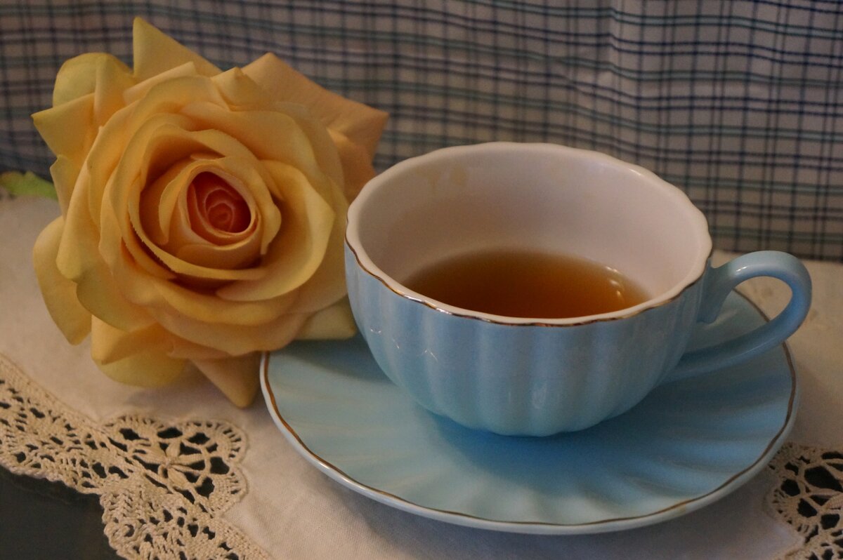 Ноябрь.... Вечер.... - Алёна Савина