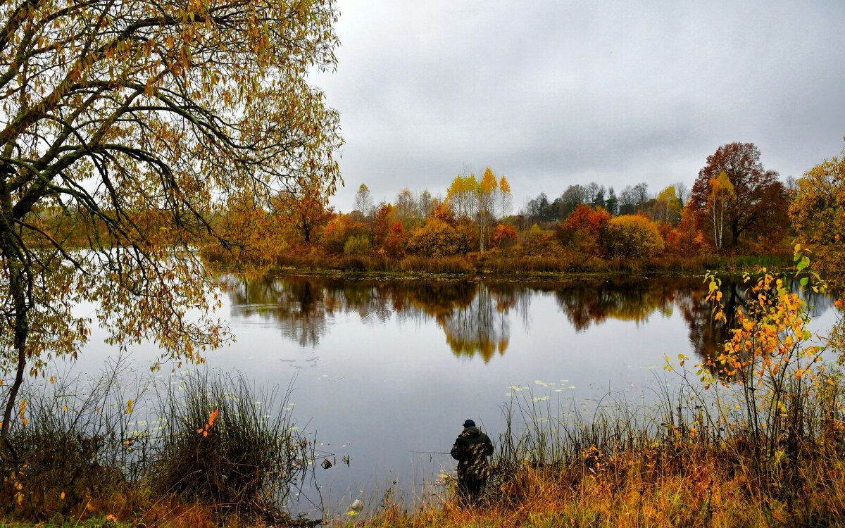 Рыбак на озере. - Милешкин Владимир Алексеевич 