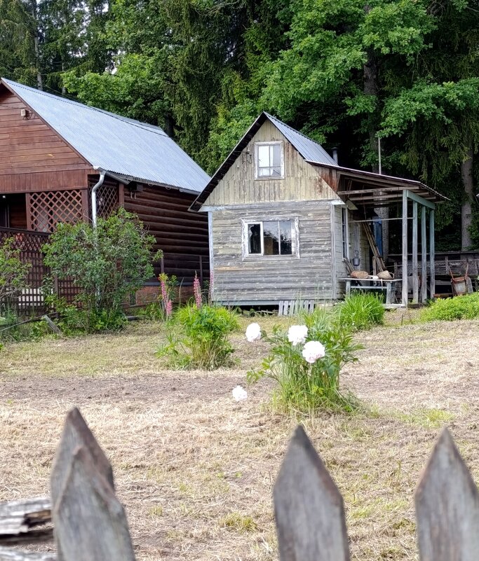 дачные картинки - tatiana 