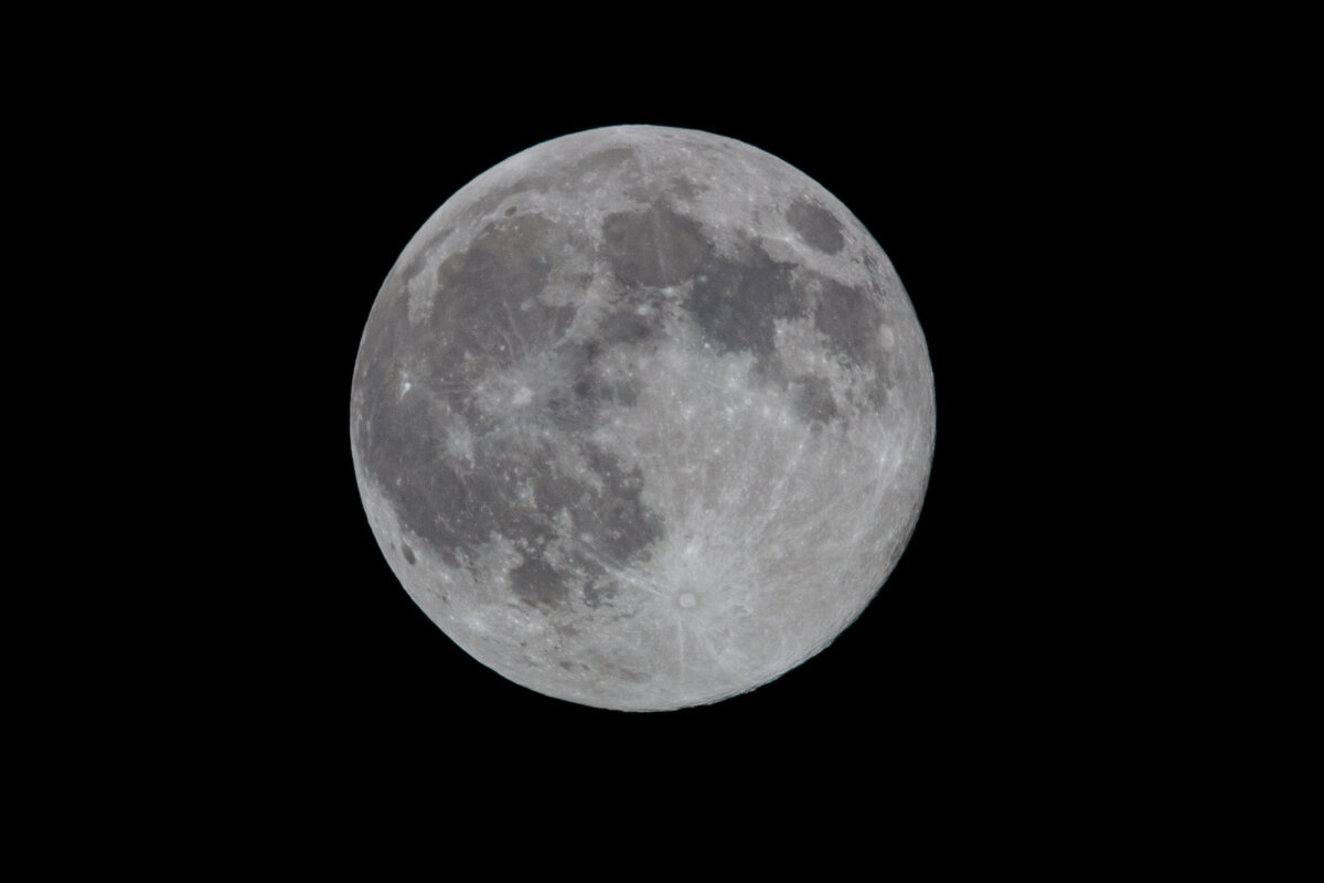 Бобровая луна. - Alexandr Gunin