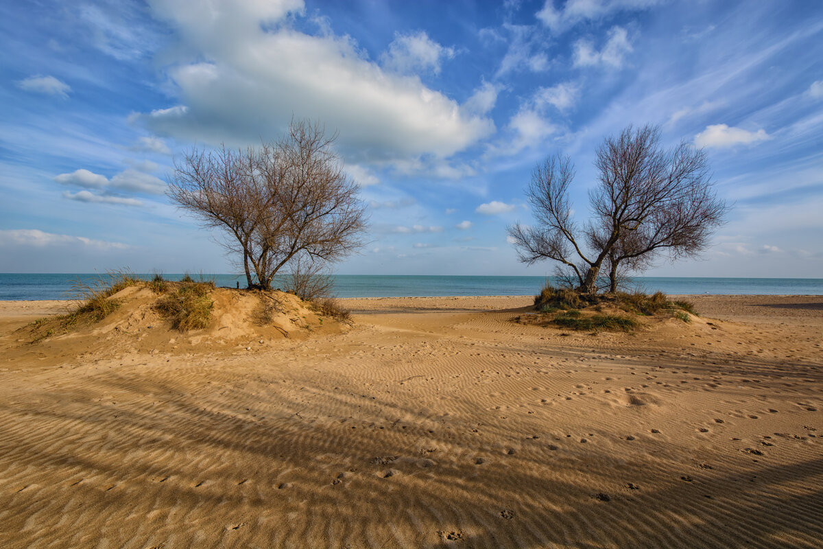 Весна 2021 - Vladimir 