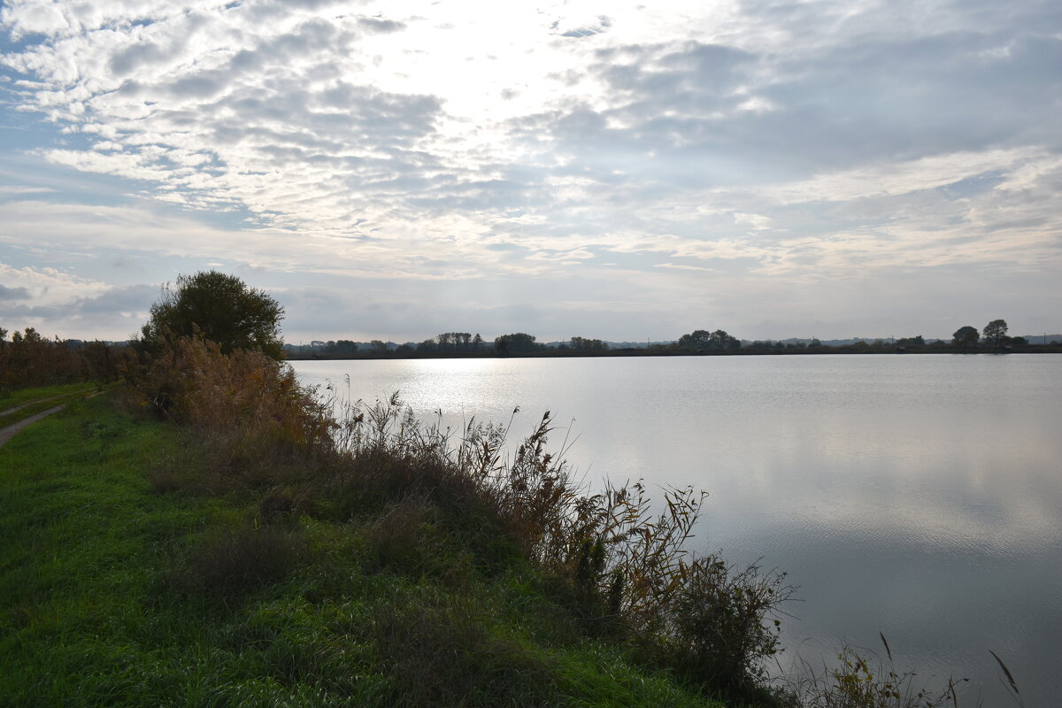Ноябрь. Вечереет. - Константин Штарк Ноябрь. Вечереет. - Константин Штарк