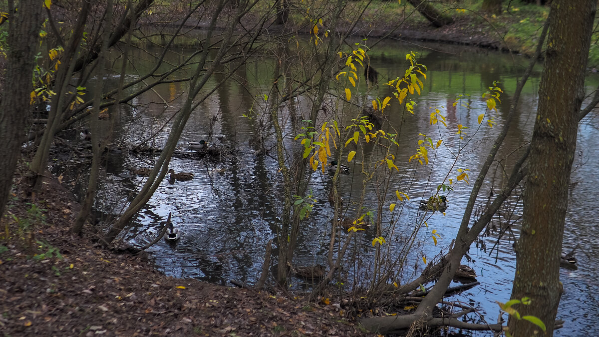 ***** - юрий поляков