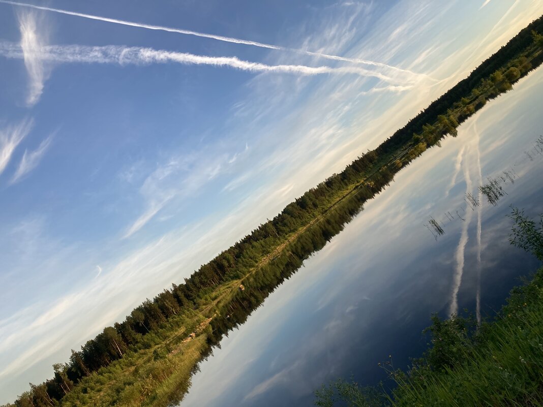 Диагональ - Ольга Савельева 