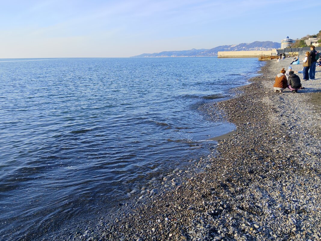 РИВЬЕРА - Tata Wolf