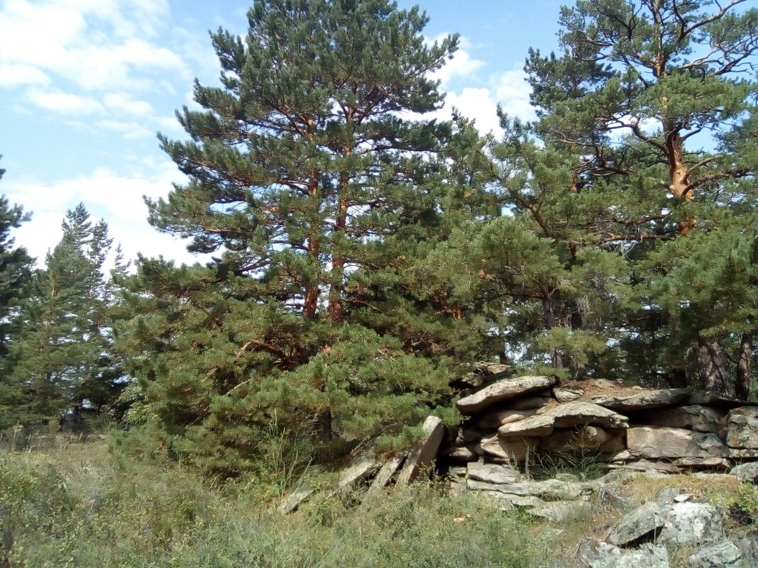 Летний день - Андрей Хлопонин