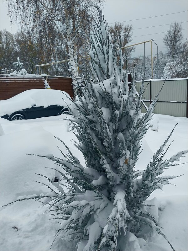 Талгар. - Murat Bukaev 