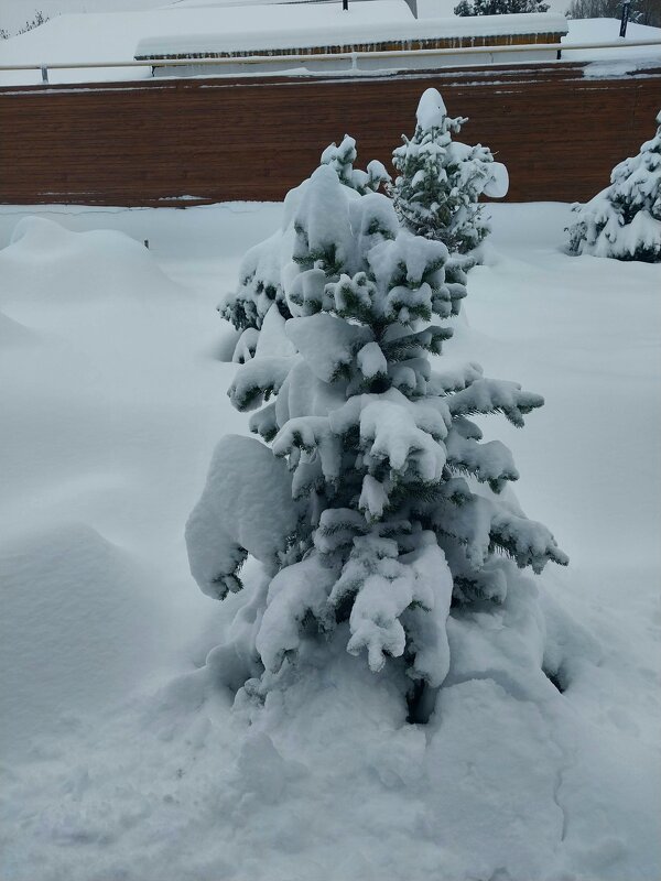 Талгар. - Murat Bukaev 