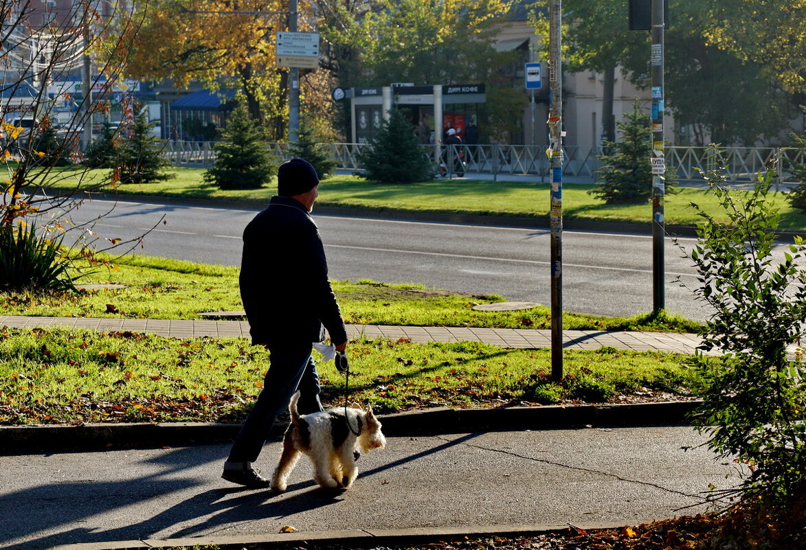 Навстречу Солнцу... - Николай Саржанов