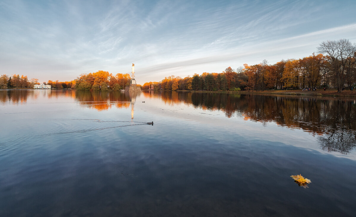*** - Александр Кислицын