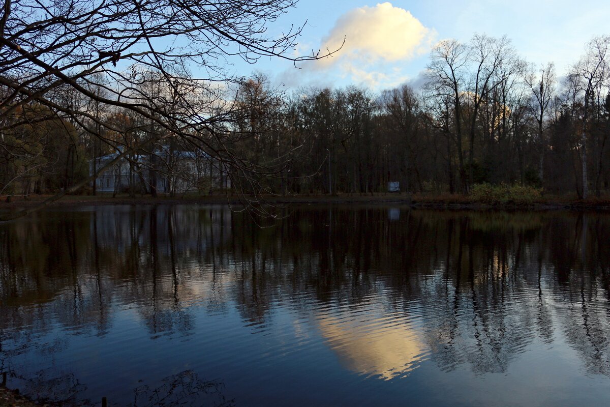 Осенние сумерки - Ольга Осенние сумерки - Ольга