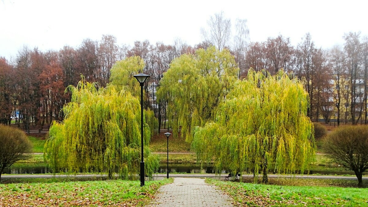 Город в ноябре. - Милешкин Владимир Алексеевич 