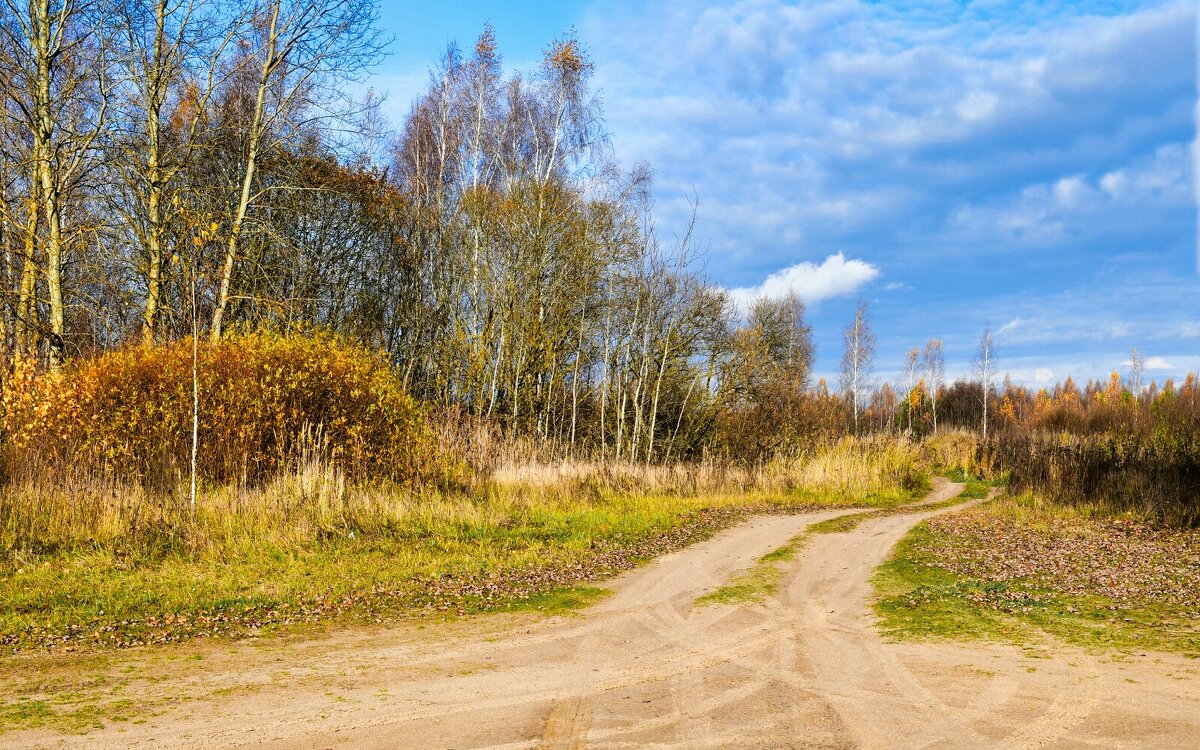 Природа Смоленщины в конце октября. - Милешкин Владимир Алексеевич 
