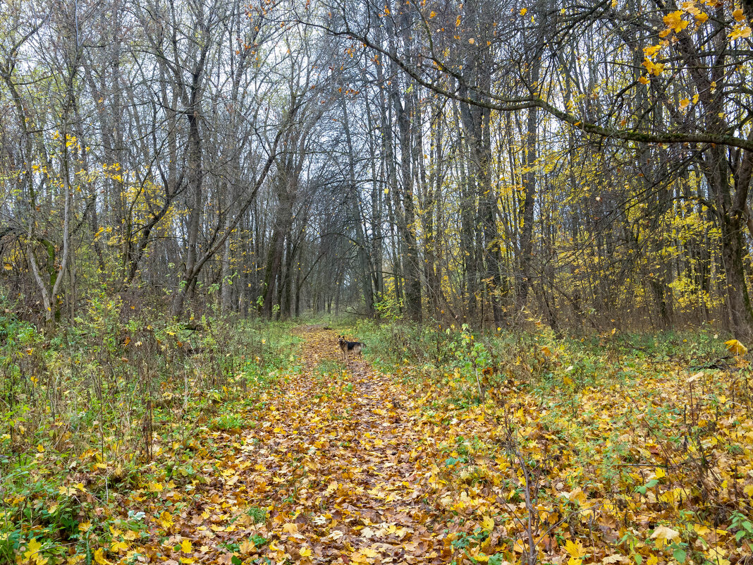 ___ - Yuriy V ___ - Yuriy V