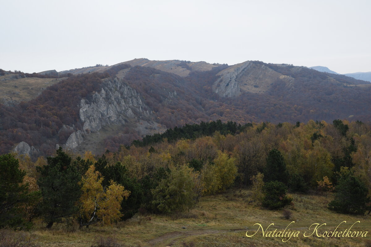 Природа Крыма - Amazing Cosmea