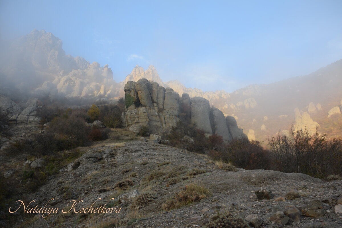 Природа Крыма - Amazing Cosmea