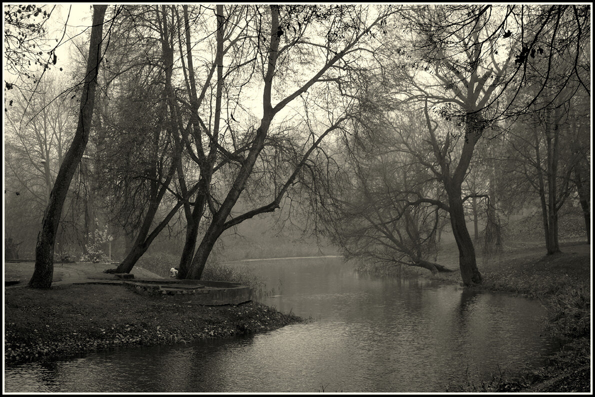 На канале - Aleksandr Gal