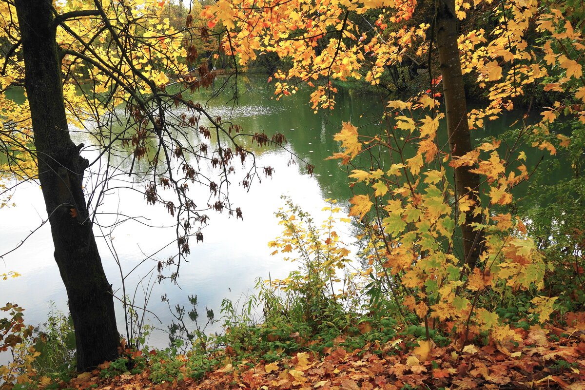 Картинки осени - Рита Симонова Картинки осени - Рита Симонова