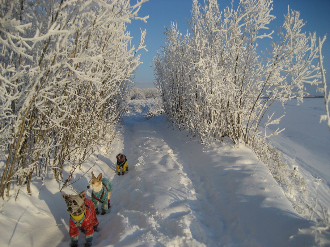 У протоки - Anna Ivanova